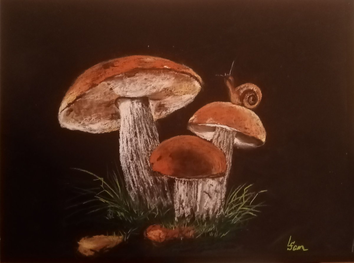 Family of mushrooms by Liubov Samoilova