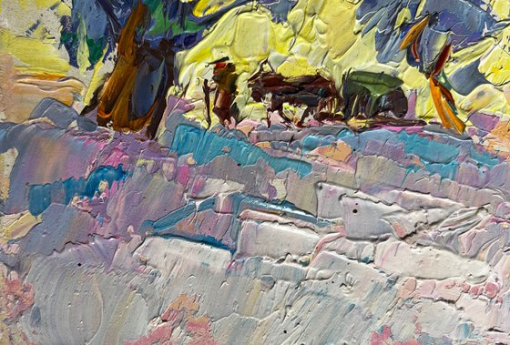 Winter morning in the field