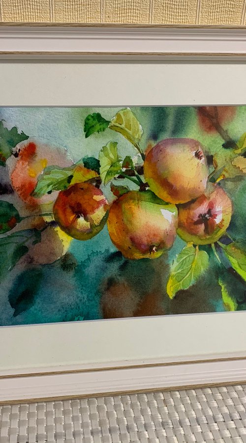 APPLES ON A BRANCH by Samira Yanushkova