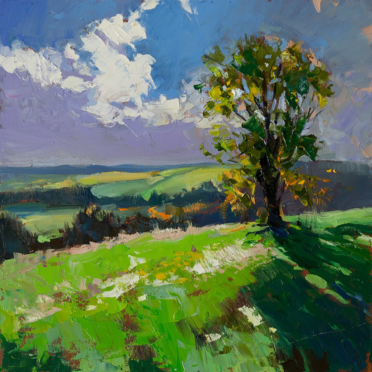 Impressionistic Landscape Oil Painting By Daria Zavadenko, 12 X 12, Midday Peace, Original Artwork