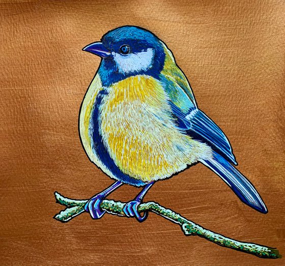 British Garden Birds series - Bluetit