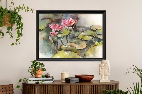 Water Lilies