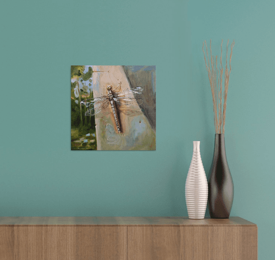 Dragonfly with transparent wings sits on a tree
