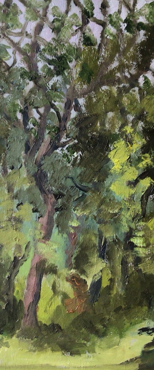 Trees on a rainy day by Julian Lovegrove Art