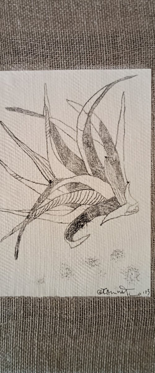 pianta aerea 3.0 by Isabellangela Germinario