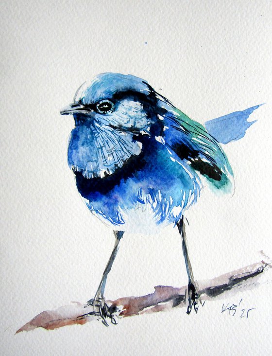 Little blue bird