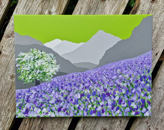 Blossom & bluebells at Rannerdale, The Lake District