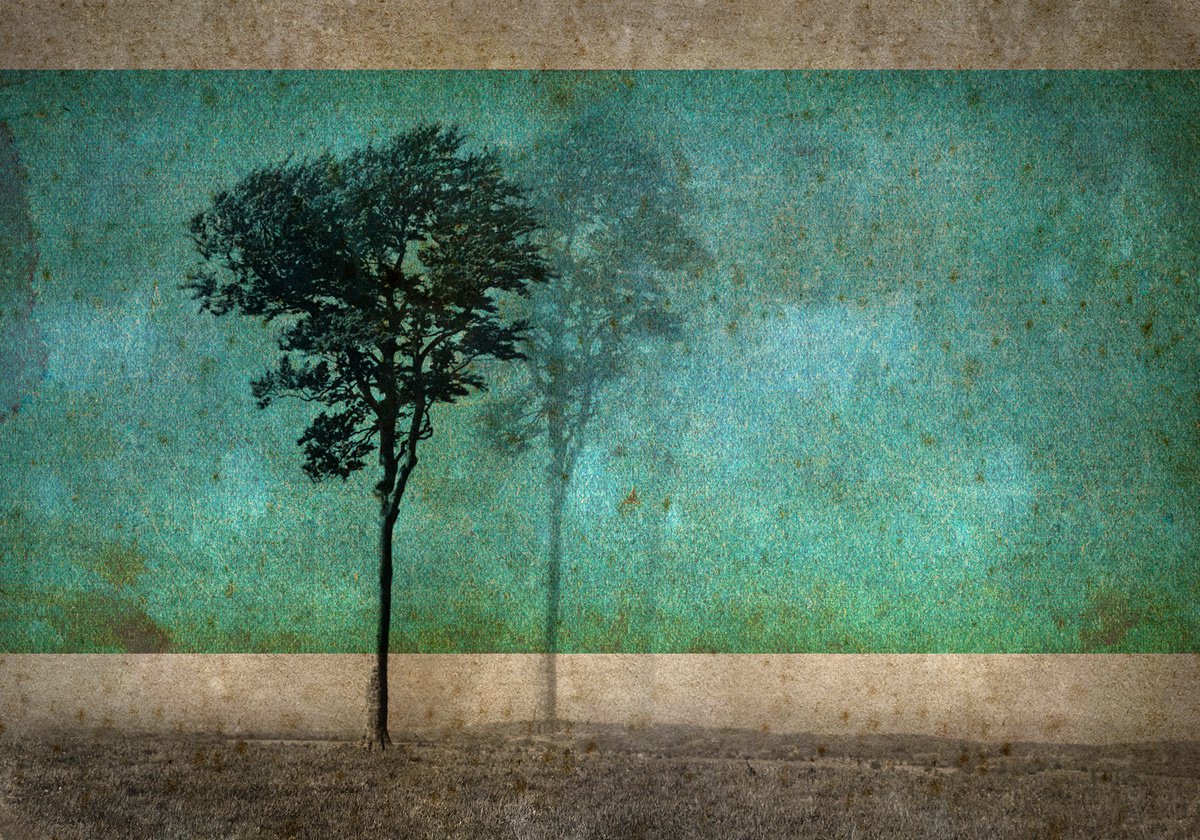 Landscape Photograph By Claire Newman-Williams, 24 X 18, Sentinel, Original Artwork