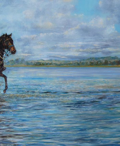The race.Cominya by Trevor Salisbury