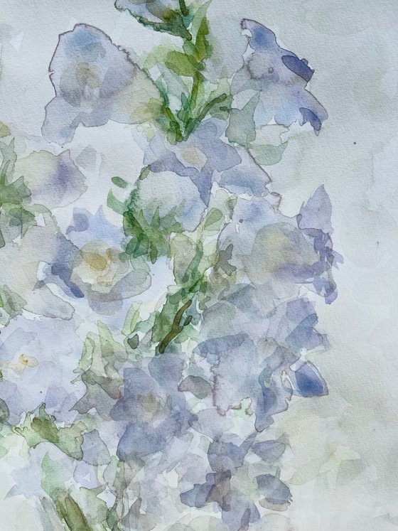 Bells 40x60 cm 2025