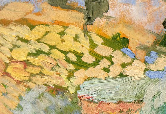 Olive Groves
