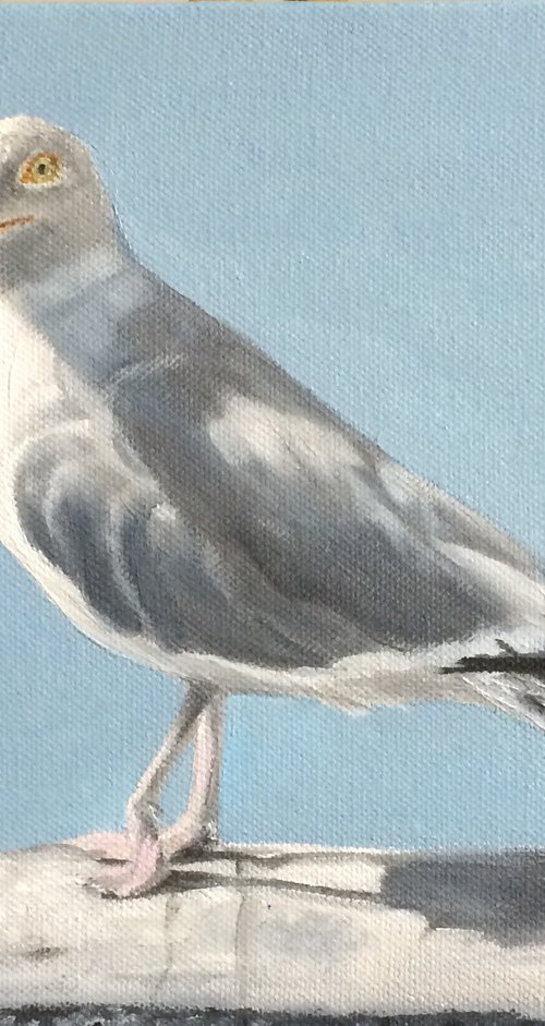 Seagull by Ira Whittaker