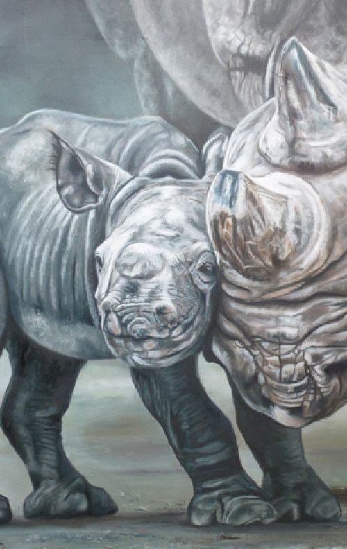 Rhino Love by Nicola Colbran