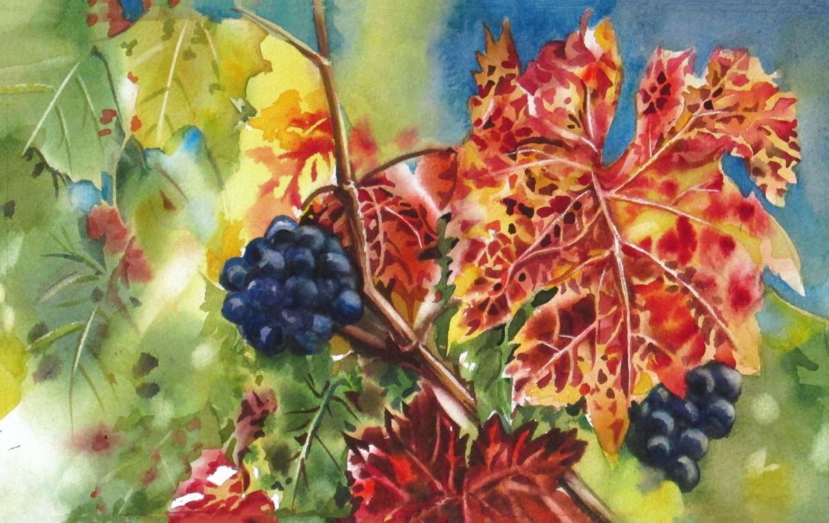 a painting a day #29 wild grapes by Alfred Ng