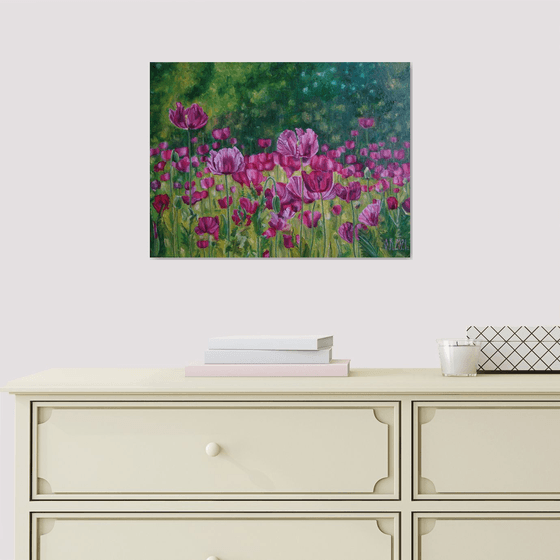 Field of pink poppies