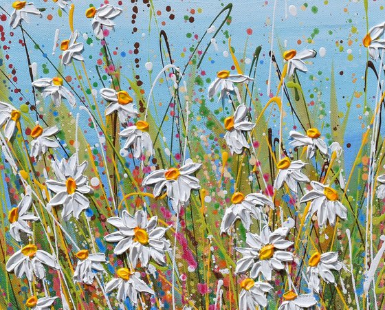 White Daisy Field