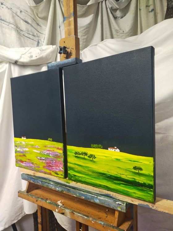 Monet's colours in hill