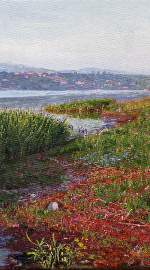 Reed on the Dniester by Elvira Sesenina