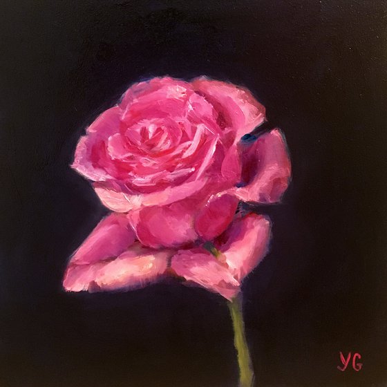 Hot Pink Rose Oil Painting