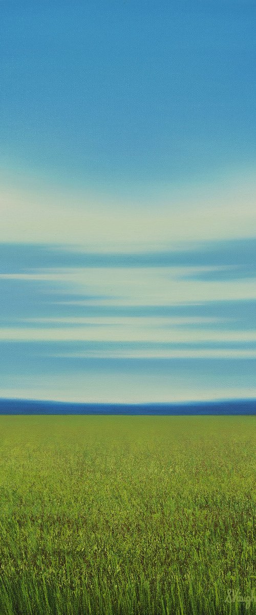 Grassy Meadow - Blue Sky Landscape by Suzanne Vaughan