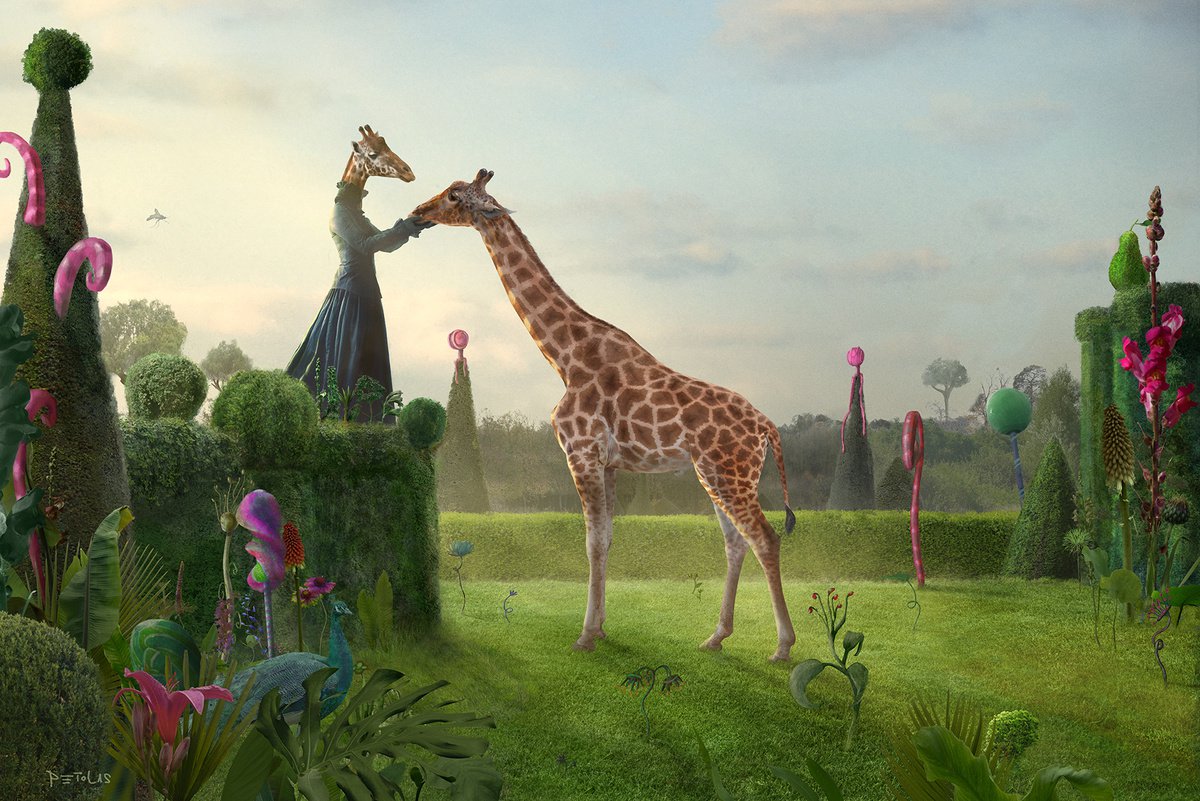 Surrealistic Animal Photograph By Nikolina Petolas, 35 X 24", Maybe This Is Love, Original Artwork