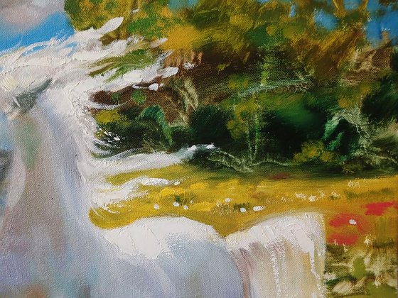 A White Horse Gallops