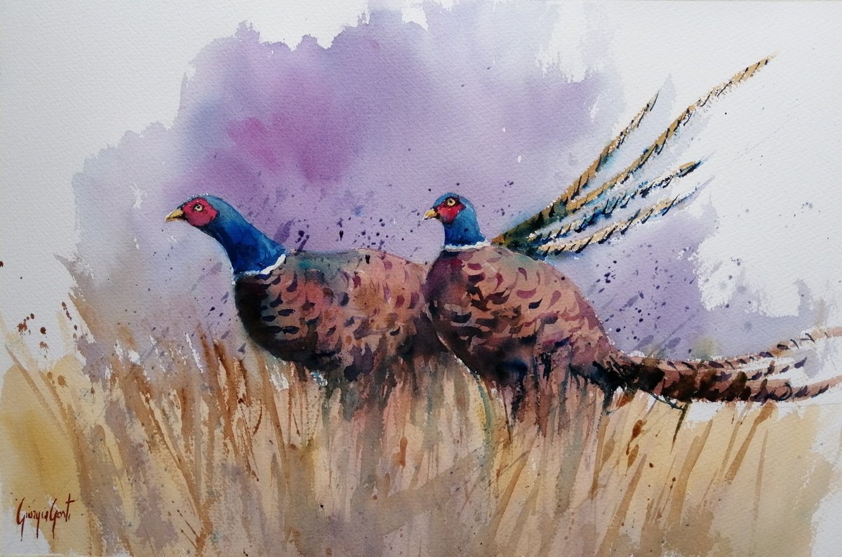 Impressionistic Watercolour , Pheasant 3 By Giorgio Gosti, 21 X 14, Artwork For Sale On Artfinder
