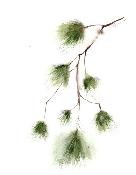 Set of 2 Pine Branches - Original watercolor paintings