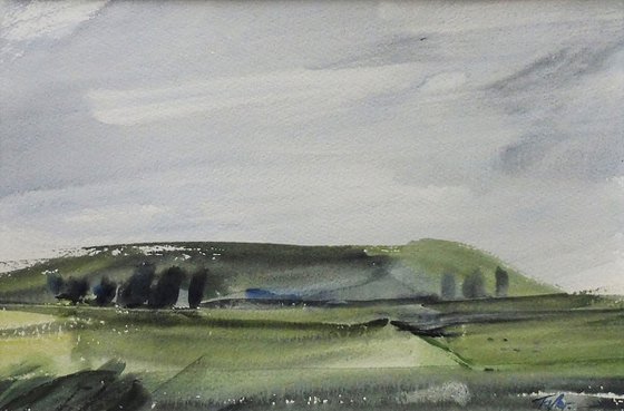 SUMMER 2022, WATERCOLOUR SKETCH / STUDY, ANGLESEY, near Cemlyn Bay.