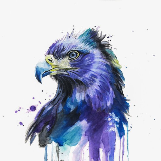 Colourful Eagle Painting