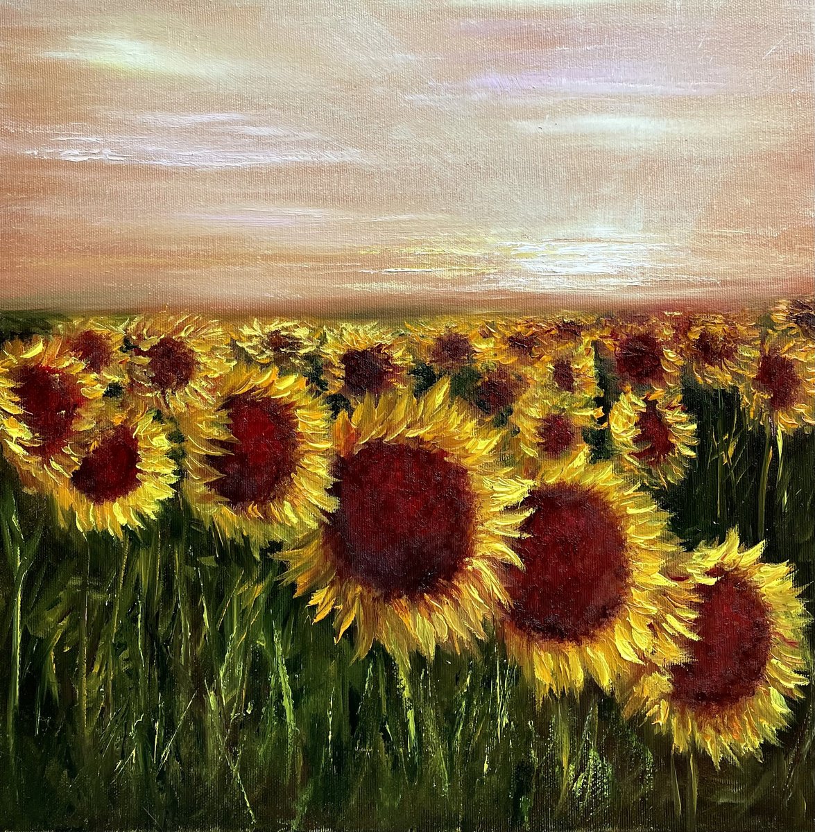 Sunflower sunset by Tanja Frost