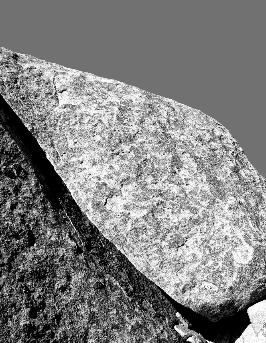 Abstract Landscape Photograph By William Dey, 21 X 26", California Split Joshua Tree, Original Artwork