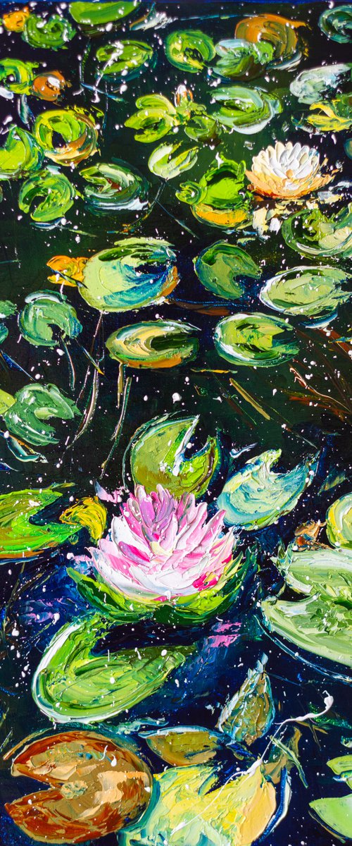 Water lily pond by Liubov Kuptsova