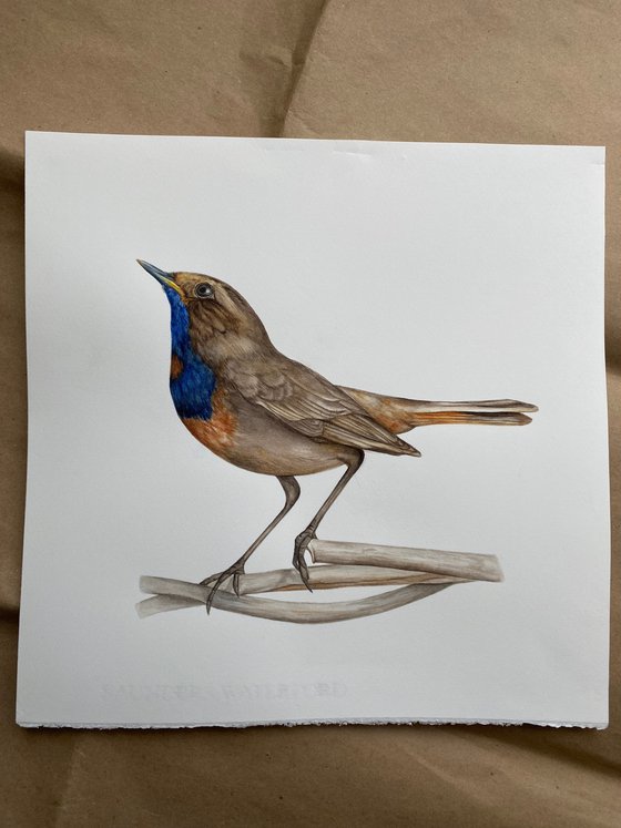 The Power of Intention