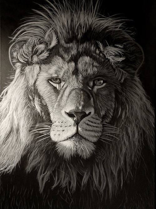 Lion by Barry Gray