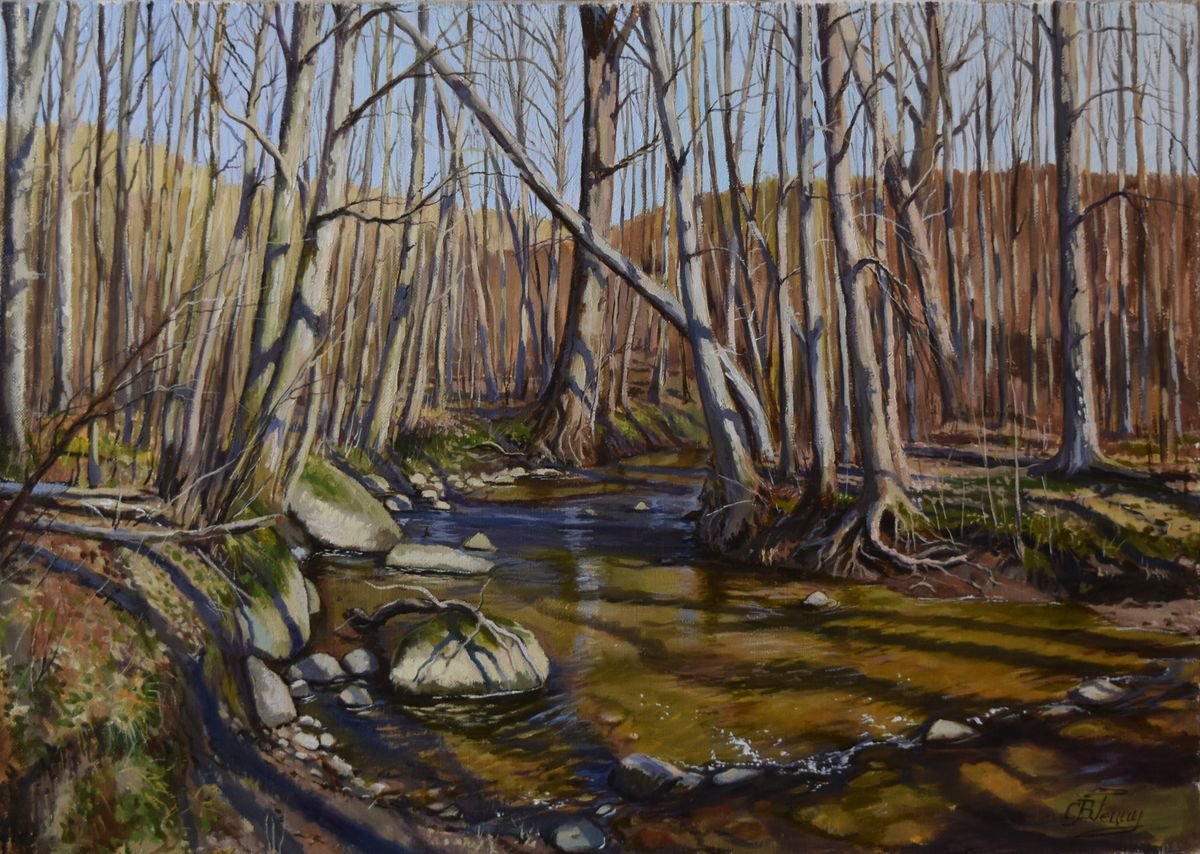 Forest river in early spring by Serghei Ghetiu