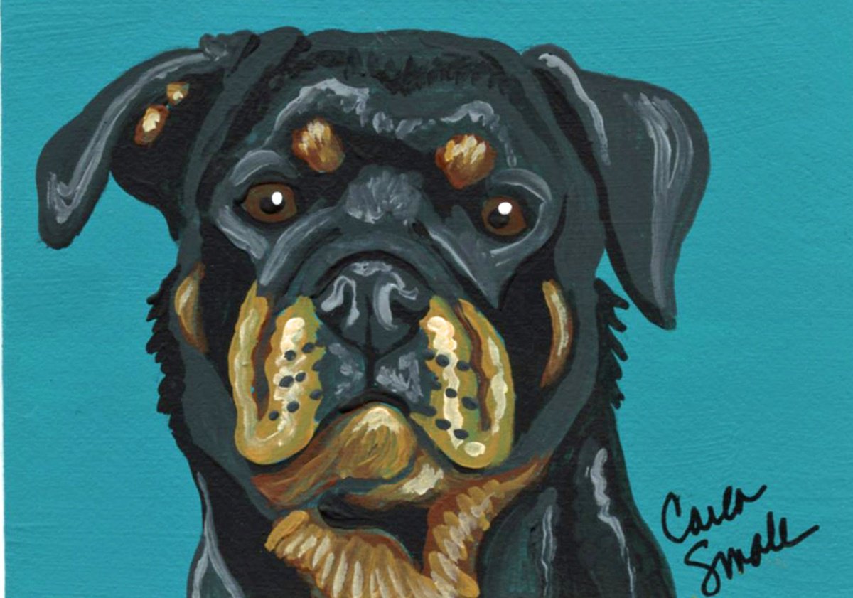 Rotti Rottweiler by Carla Smale