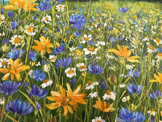 The Meadow at Blean