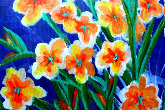Gladioli