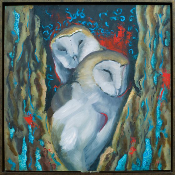 Barn Owls