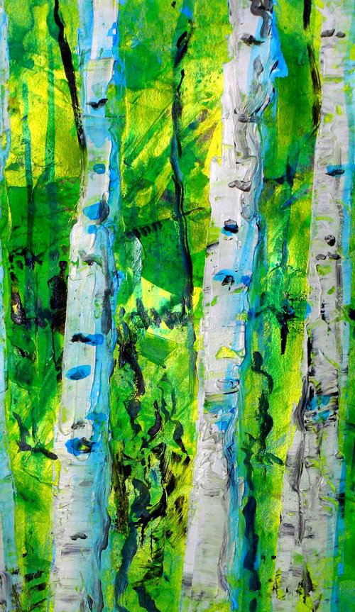 Spring Birch by Paul J Best