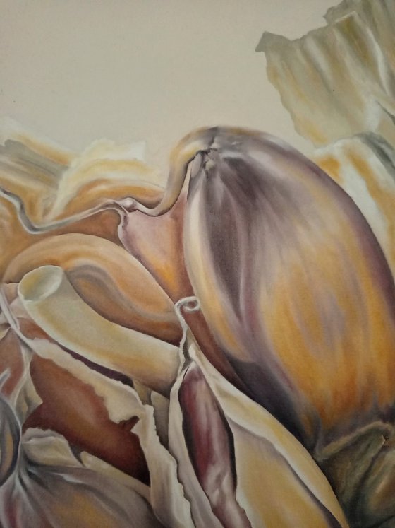 Garlic flower