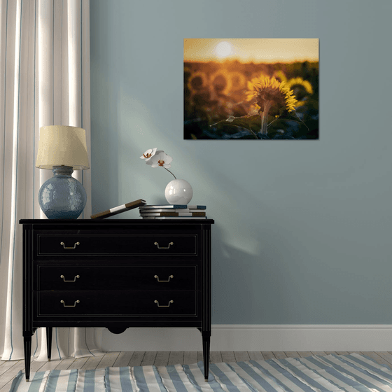 Golden Silence IV – Fading Glow