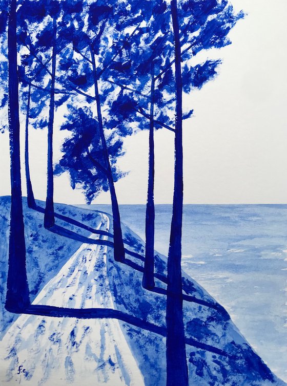 The coastal path
