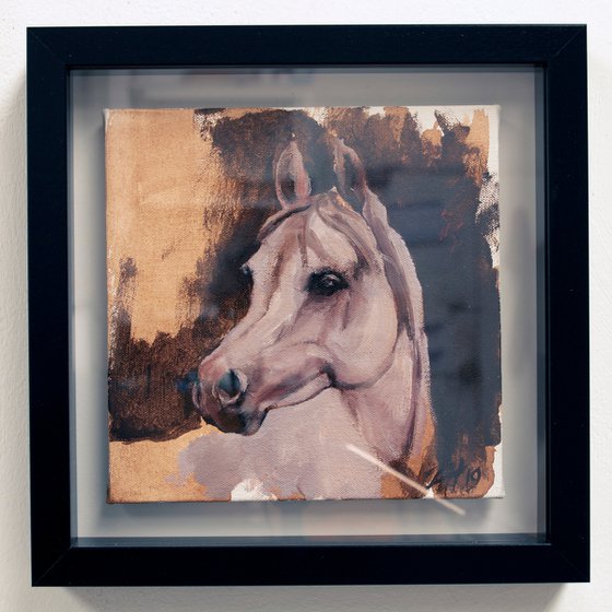 Equine Head Arab White (study 12)