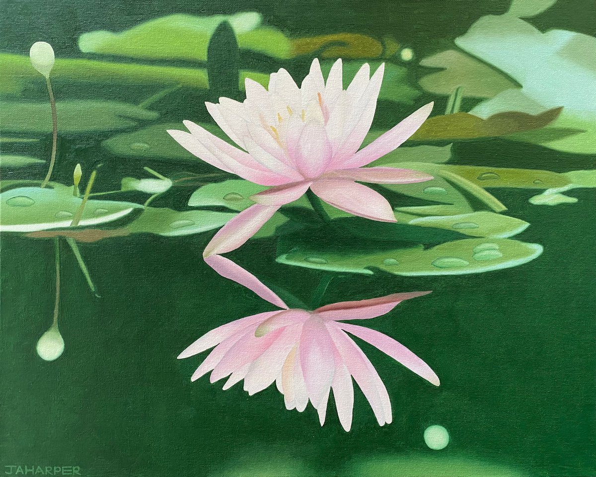 Water Lily by Jill Ann Harper