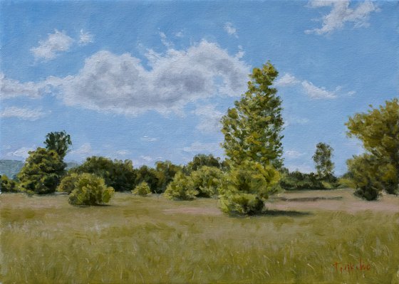 Bar Bushes II - The Calm of Summer Fields