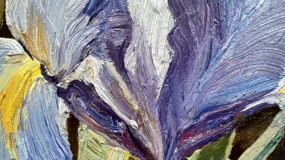 When the irises were big