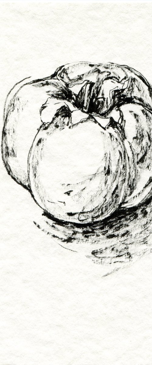 ink persimmon sketch by Liliya Rodnikova