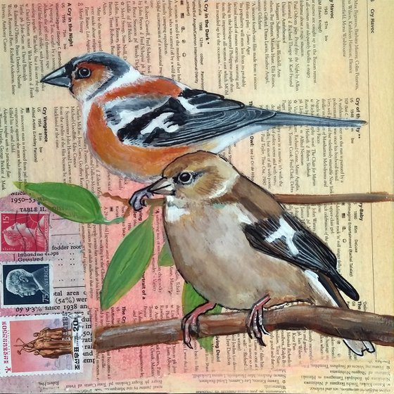 Chaffinches - Ornithology#2 - Framed ready to hang original painting